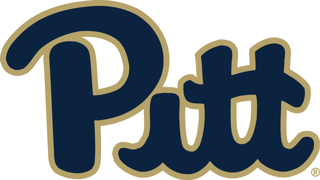 Pittsburgh Panthers 2016-2018 Primary Logo iron on transfers for T-shirts